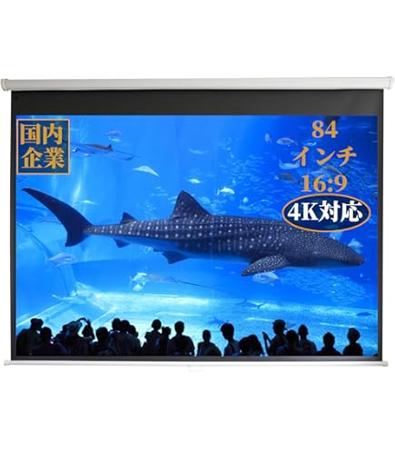 Amazon.co.jp: エプソン EPSON プロジェクター用携帯型ロール